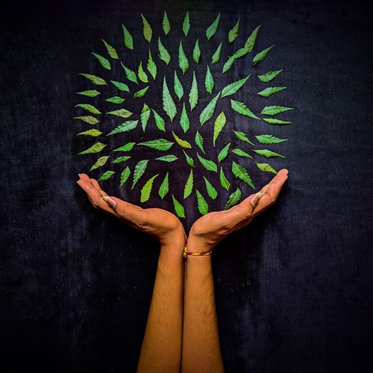 In every change, in every falling leaf there is some pain, some beauty. And that's the way new leaves grow